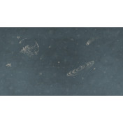 Панно Factura, коллекция Collection 2024, артикул MILKY WAY/3