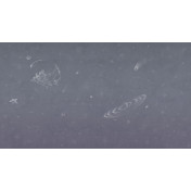 Панно Factura, коллекция Collection 2024, артикул MILKY WAY/4