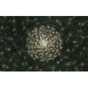 Российские обои Factura, коллекция Kids, артикул SUNSHINE/4