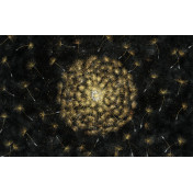 Российские обои Factura, коллекция Kids, артикул SUNSHINE/3