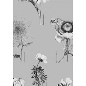 Английские обои Fardis, коллекция Shangri La, артикул 117018