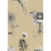 Английские обои Fardis, коллекция Shangri La, артикул 117020