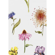 Английские обои Fardis, коллекция Shangri La, артикул 117034