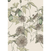 Английские обои Fardis, коллекция Shangri La, артикул 117076