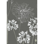 Английские обои Fardis, коллекция Shangri La, артикул 117087