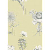 Английские обои Fardis, коллекция Shangri La, артикул 117097