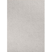 Обои Foldecor, коллекция Sample Catalogue, артикул 68/Silver