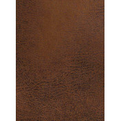 Обои Foldecor, коллекция Sample Catalogue, артикул 72/Cinnamon