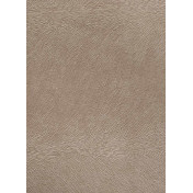Обои Foldecor, коллекция Sample Catalogue, артикул 82/Champagne