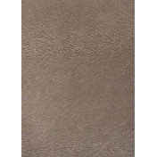 Обои Foldecor, коллекция Sample Catalogue, артикул 83/Sesame