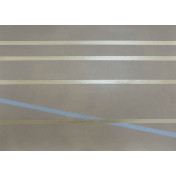 Английские обои Fromental, коллекция Roomskins, артикул Lacets/Coulteel