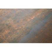 Английские обои Fromental, коллекция Roomskins, артикул Saltwood/Braskish