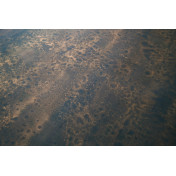 Английские обои Fromental, коллекция Roomskins, артикул Saltwood/Reef