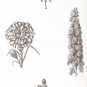 Испанские обои Gaston y Daniela, коллекция Origen, артикул GDW-4854-004