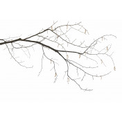 Итальянские обои Glamora, коллекция Creative Wallcovering, артикул GL2001A