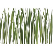 Итальянские обои Glamora, коллекция Creative Wallcovering, артикул GL2011A