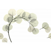 Итальянские обои Glamora, коллекция Creative Wallcovering, артикул GL6081A