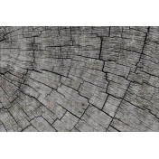 Итальянские обои Glamora, коллекция Creative Wallcovering, артикул GLCR021