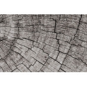 Панно Glamora, коллекция Creative Wallcovering, артикул GLCR022A