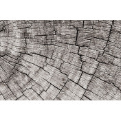 Панно Glamora, коллекция Creative Wallcovering, артикул GLCR023A