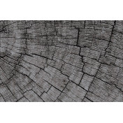 Панно Glamora, коллекция Creative Wallcovering, артикул GLCR024A