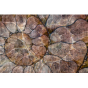 Панно Glamora, коллекция Creative Wallcovering, артикул GLFO111A