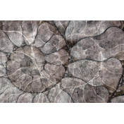 Панно Glamora, коллекция Creative Wallcovering, артикул GLFO112A