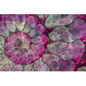 Панно Glamora, коллекция Creative Wallcovering, артикул GLFO113A