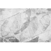 Панно Glamora, коллекция Creative Wallcovering, артикул GLFO144A