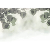 Итальянские обои Glamora, коллекция Creative Wallcovering, артикул GLFR30A