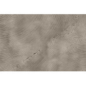 Итальянские обои Glamora, коллекция Creative Wallcovering, артикул GLIX531A