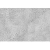 Итальянские обои Glamora, коллекция Creative Wallcovering, артикул GLIX532A