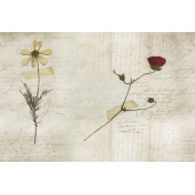 Итальянские обои Glamora, коллекция Creative Wallcovering, артикул GLL22A