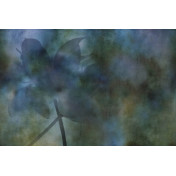 Итальянские обои Glamora, коллекция Creative Wallcovering, артикул GLMA101A