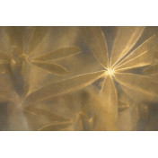 Панно Glamora, коллекция Creative Wallcovering, артикул GLNF162A