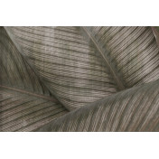 Панно Glamora, коллекция Creative Wallcovering, артикул GLRO123A