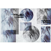 Панно Glamora, коллекция Creative Wallcovering, артикул GLSH112A