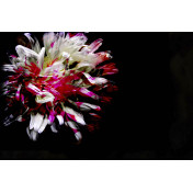 Итальянские обои Glamora, коллекция Creative Wallcovering, артикул GLST114A