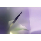 Итальянские обои Glamora, коллекция Creative Wallcovering, артикул GLX121A