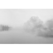 Итальянские обои Glamora, коллекция Creative Wallcovering, артикул GLX542A