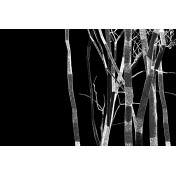 Панно Glamora, коллекция Glam Fusion, артикул GLF312A