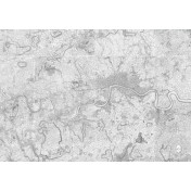 Панно Hamilton Weston, коллекция Paradise Archive Collection, артикул PAGEOM02