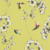 Английские обои Harlequin, коллекция Amazilia, артикул 111061