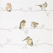 Английские обои Harlequin, коллекция Standing Ovation, артикул 111484