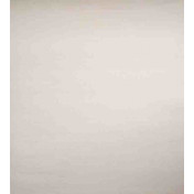 Немецкие обои Hohenberger, коллекция Urban Classics, артикул 30056