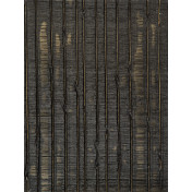 Английские обои Holland & Sherry, коллекция Archetype Collection, артикул DEWP2074/Ramis Black Gold