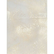 Английские обои Holland & Sherry, коллекция Archetype Collection, артикул DEWP2304/Miranda Sand