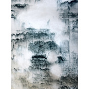 Английские обои Holland & Sherry, коллекция Archetype Collection, артикул DEWP2311/Mizuya Rikyu