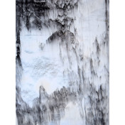 Английские обои Holland & Sherry, коллекция Archetype Collection, артикул DEWP2312/Mizuya Chanoyu