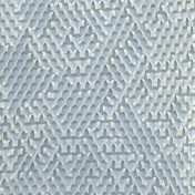 Английские обои Holland & Sherry, коллекция Docere, артикул WP2523/Serial Tundra